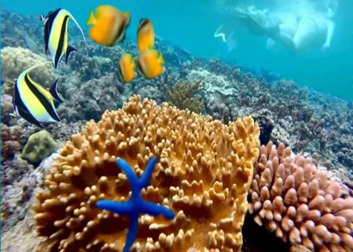 リゾート Wreck Divers & Restaurant 3*