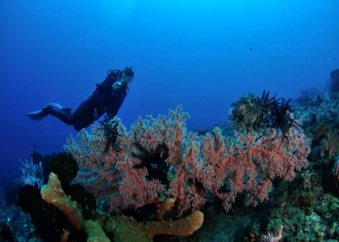 Wreck Divers & Restaurant 3*