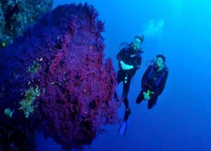 リゾート Wreck Divers & Restaurant 3*