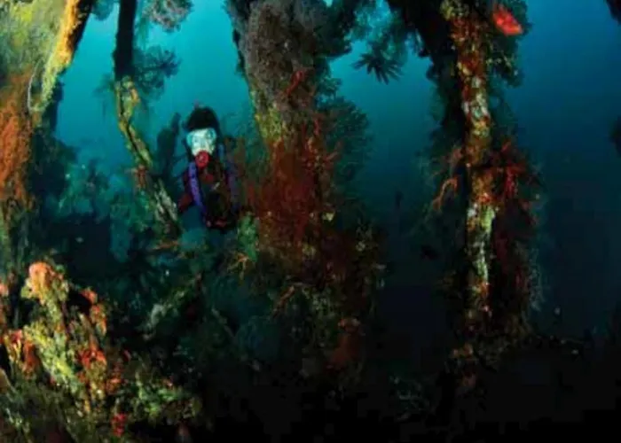 リゾート Wreck Divers & Restaurant トゥランベン